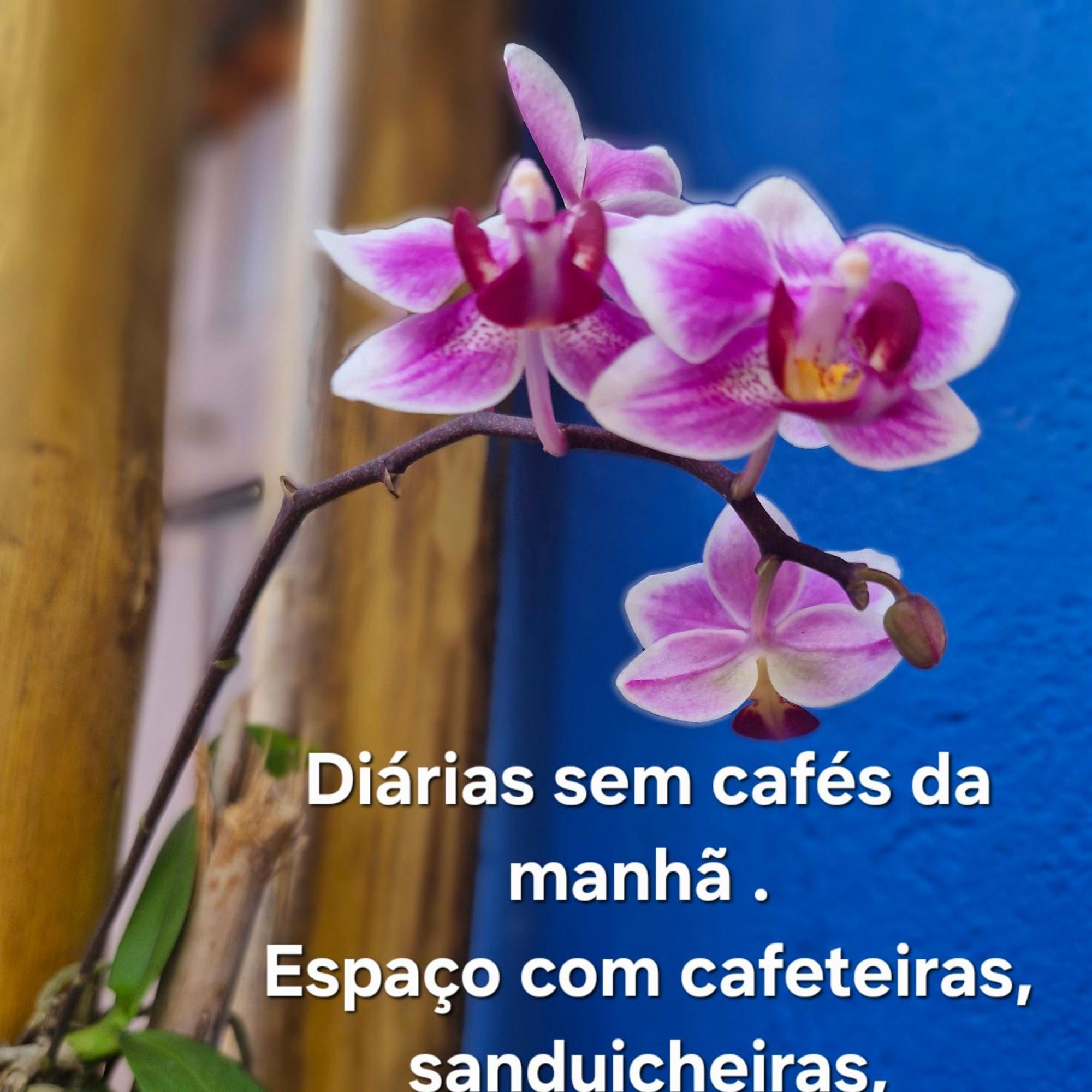A Ver O Mar Suites Cocanha Caraguatatuba Zewnętrze zdjęcie